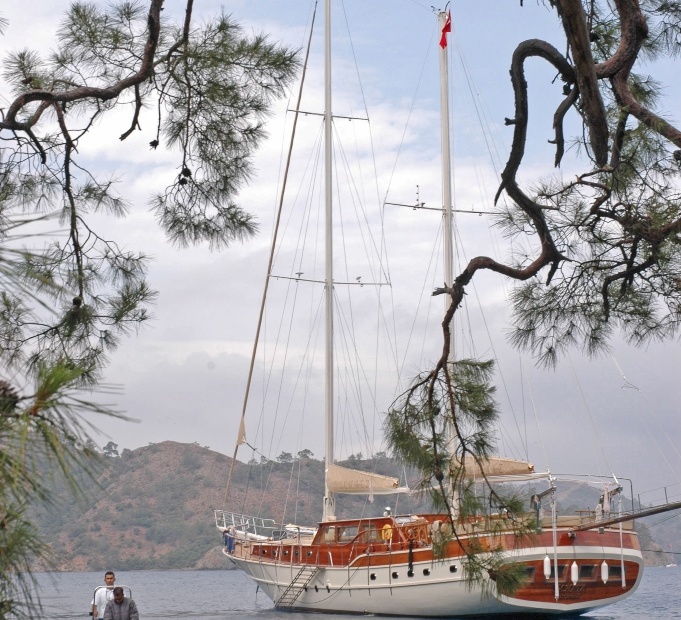 Yener Yachts Schatz