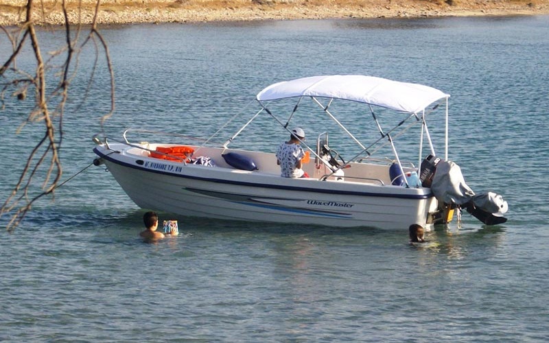 Poseidon Fish 5.50 T