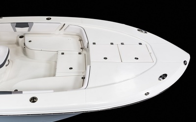 Robalo 246 Cayman SD