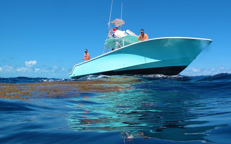 SeaVee 390