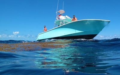 SeaVee 390