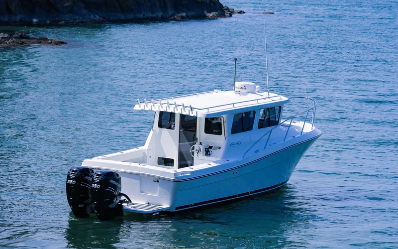 Ocean Sport 30' Roamer