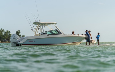 Boston Whaler 240 Vantage