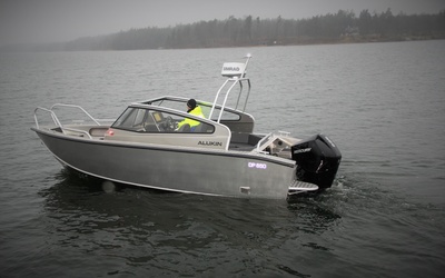Alukin DP 650