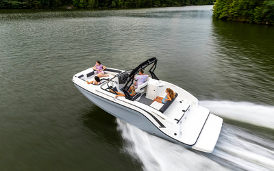 Bayliner DX2250