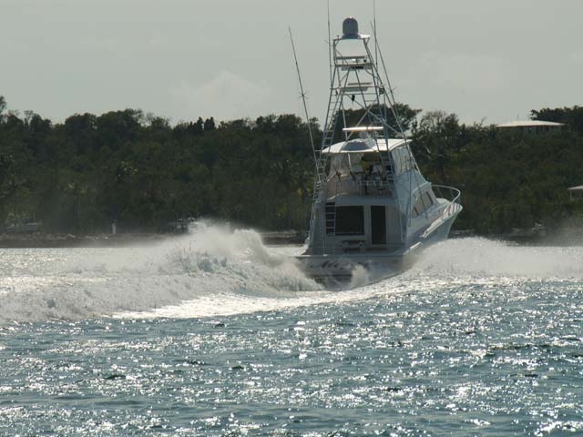 Bertram 570