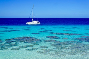 When the cards lie: the story of Tanda Malaika's catamaran.
