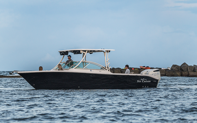 Sea Chaser 30 DC