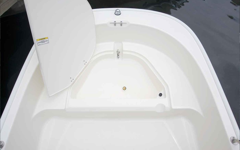Boston Whaler 110 Tender