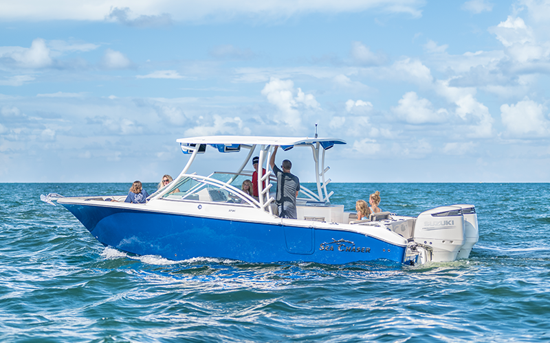 Sea Chaser 27 DC