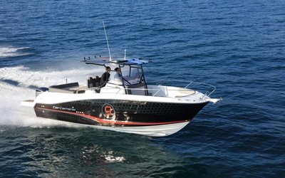 Jeanneau Cap Camarat 9.0 CC