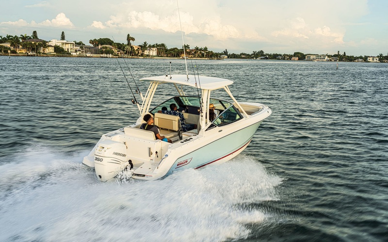 Boston Whaler 240 Vantage