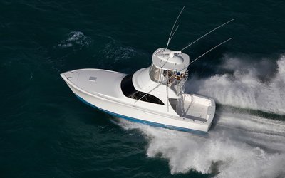 Viking 38BF
