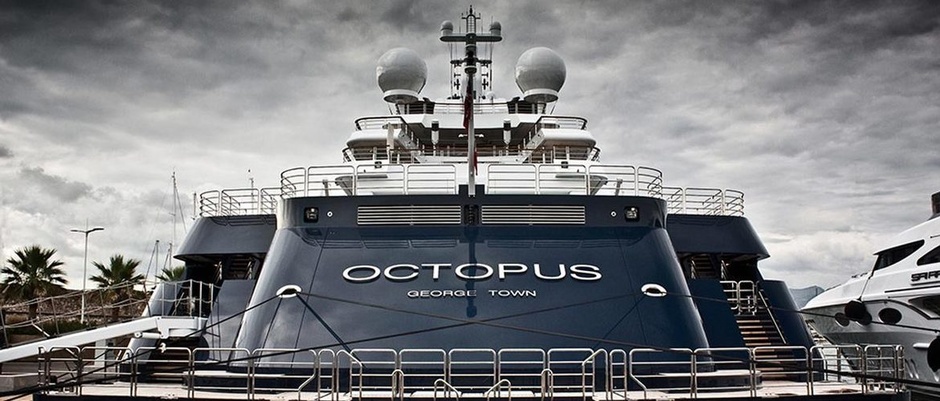 Octopus