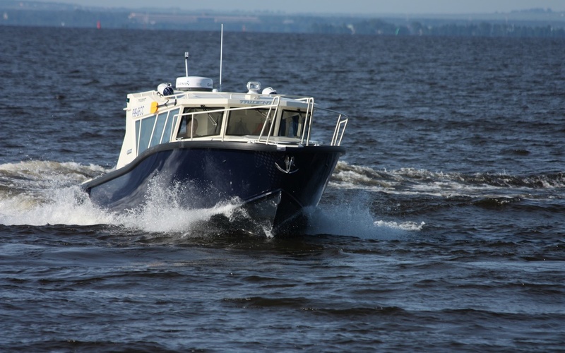 Trident Solo 900