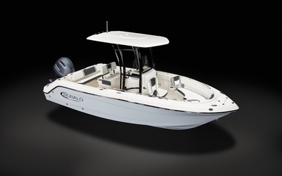 Robalo R222