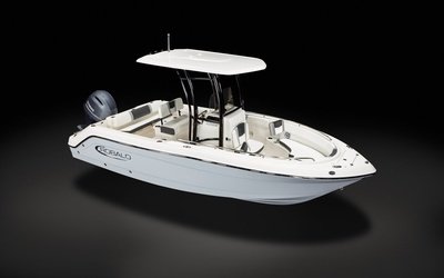 Robalo R222