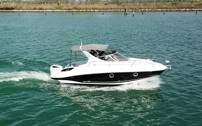Salpa Laver 23X