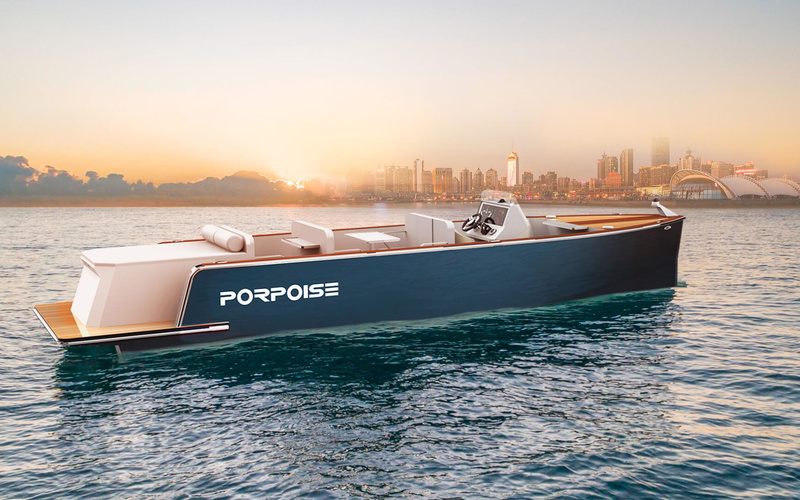 Porpoise PT900