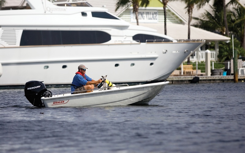 Boston Whaler 110 Sport