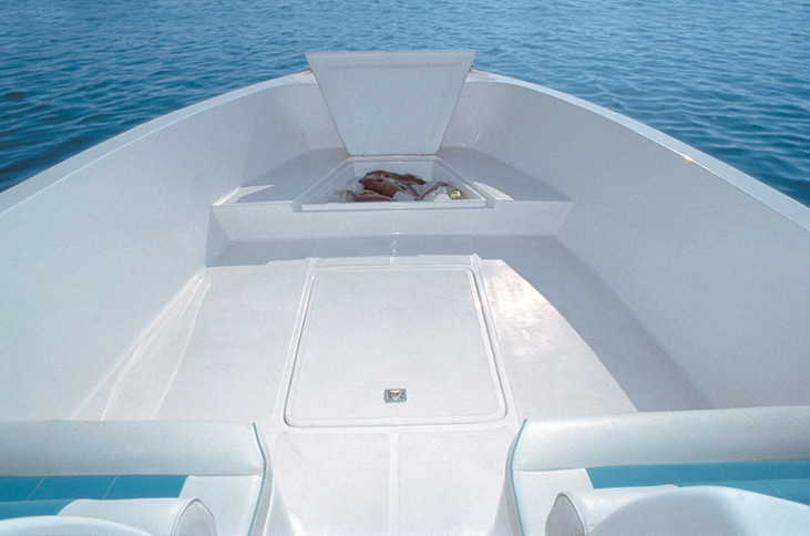 Silvercraft 31SF