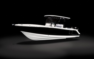 Robalo R302