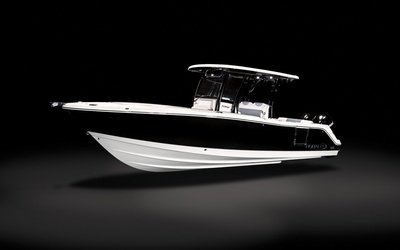 Robalo R302