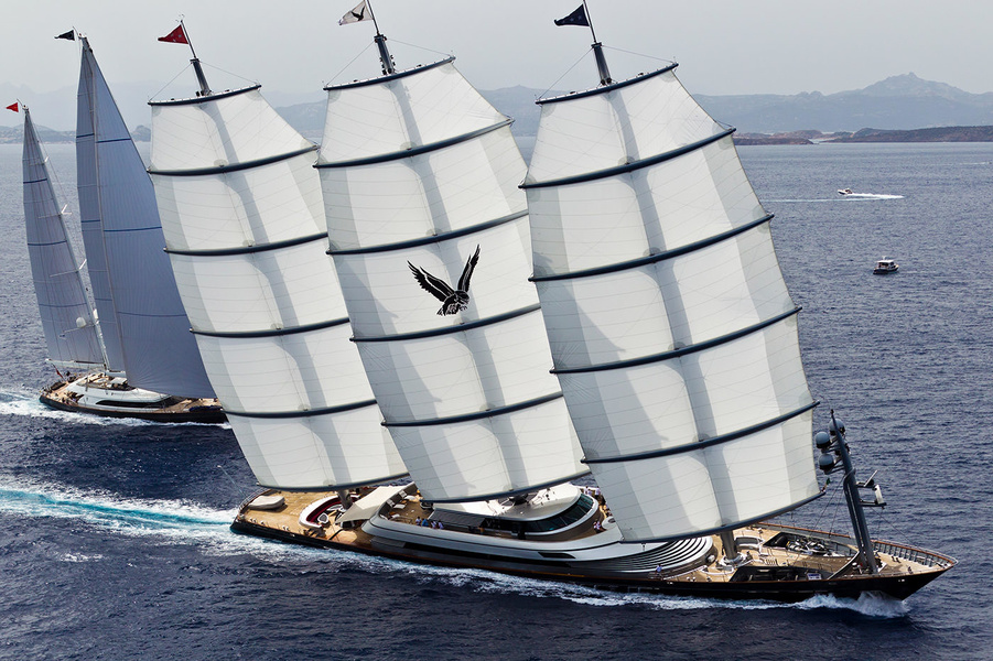 Maltese Falcon