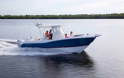 World Cat 295CC