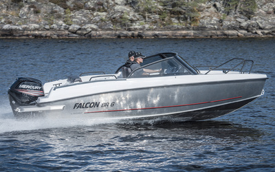 Falcon BR 6