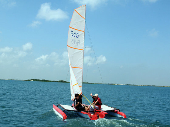 Fareast Freefly 15