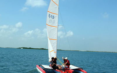 Fareast Freefly 15