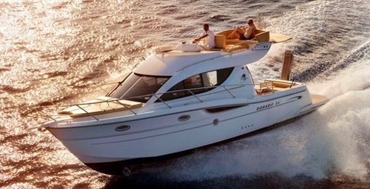 Sessa Dorado 36