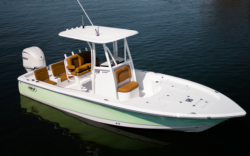 Sea Hunt BX 25 BR