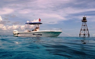 Dusky 252 Open Fisherman