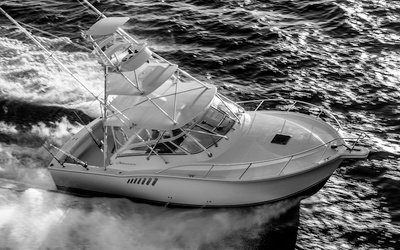 Albemarle 36 Express
