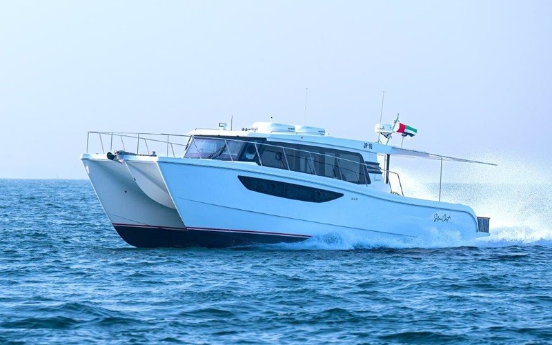 SilverCat 46LUX
