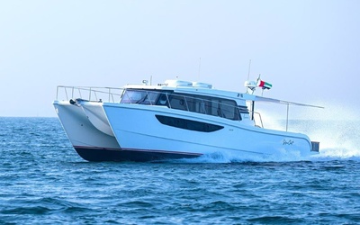 SilverCat 46LUX