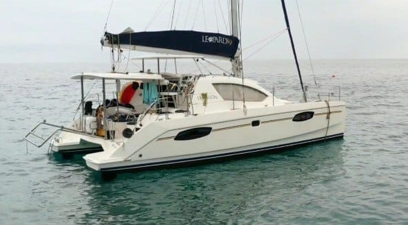 Leopard 39 (2012)