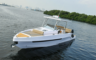 Al Shaali Warrior 33