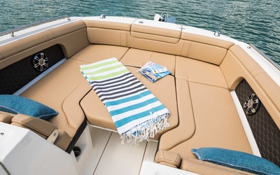 Sea Ray SDX 290