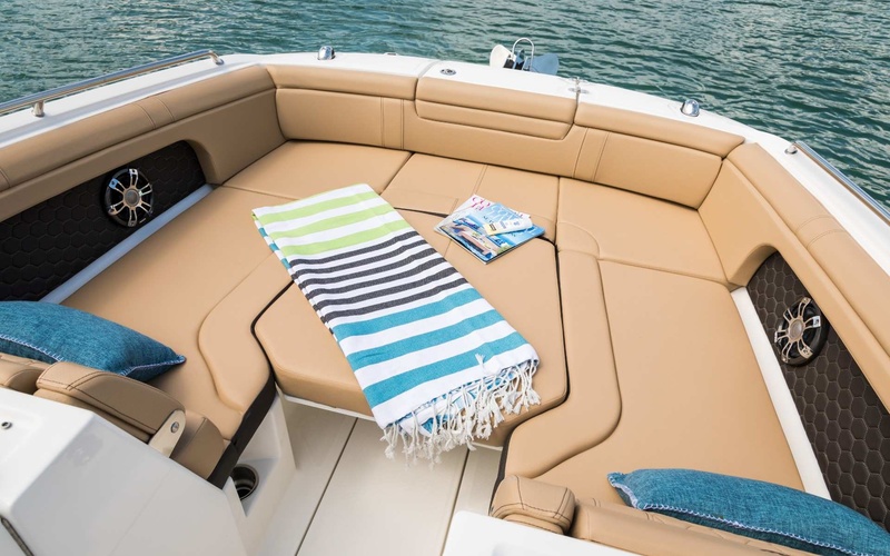 Sea Ray SDX 290