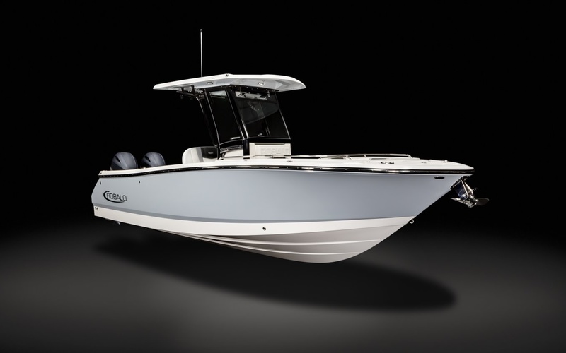 Robalo R250