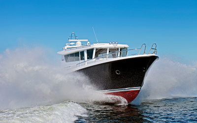 Sargo 36