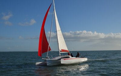 Astus 24