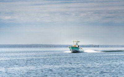 Sea Hunt BX 25 BR