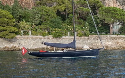 Wally Wallynano37