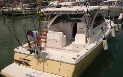 3B Craft 31 EX