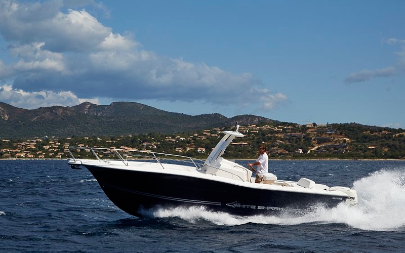 White Shark 296CC