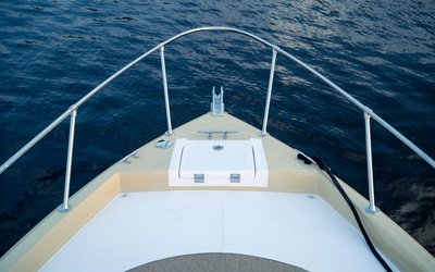 Al Shaali Shark 33 Walk Around